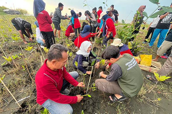 Hutan Mangrove di Pesisir Tugurejo